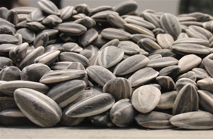 Sunflower Seeds