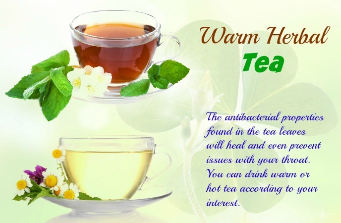 Healthy Diet For Singers – Warm Herbal Tea